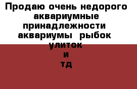 Продаю,очень недорого,аквариумные принадлежности, аквариумы, рыбок, улиток и тд. - Приморский край, Владивосток г. Животные и растения » Аквариумистика   . Приморский край,Владивосток г.